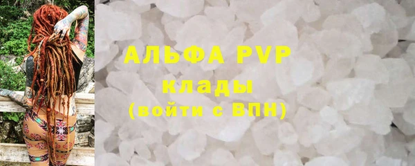 амф Кукмор