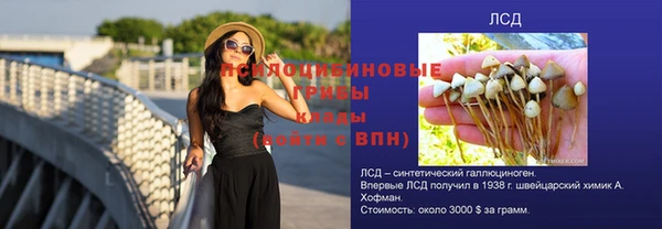 амф Кукмор