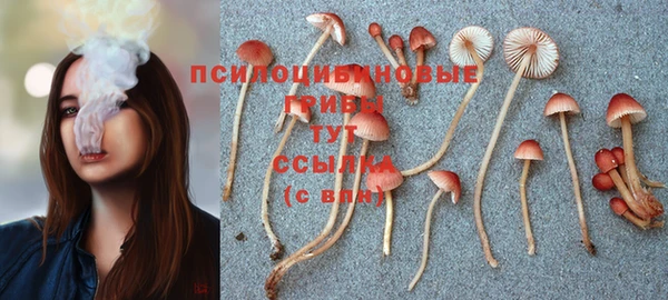 крисы Куйбышев