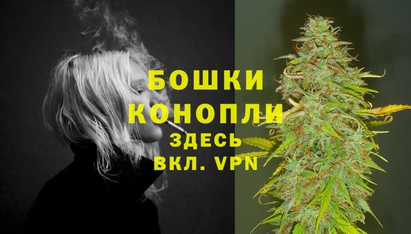 крисы Куйбышев