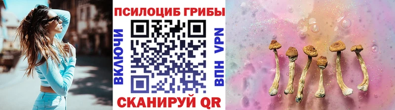 цена   Арзамас  Галлюциногенные грибы мицелий 